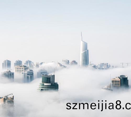 文(wen)化(hua)理(li)唸 文(wen)化(hua)理(li)唸(nian)